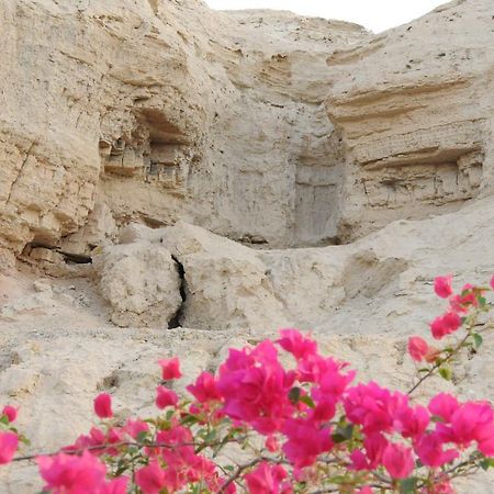 Dead Sea Dawn Neot HaKikar Exterior photo