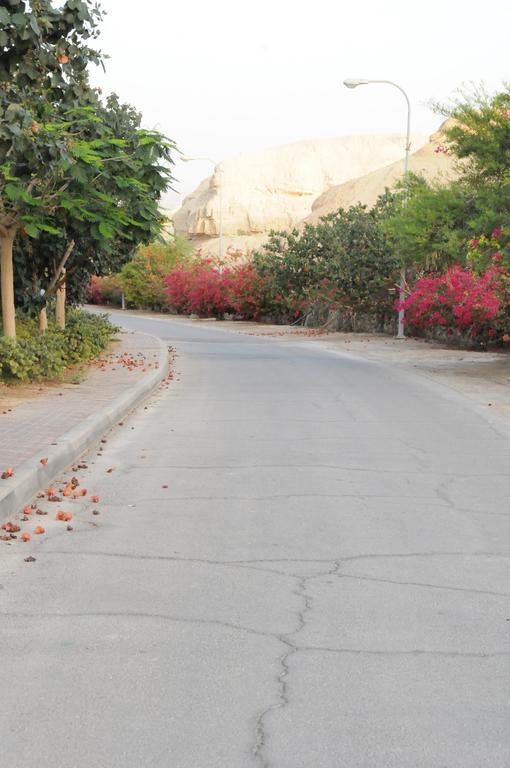 Dead Sea Dawn Neot HaKikar Exterior photo