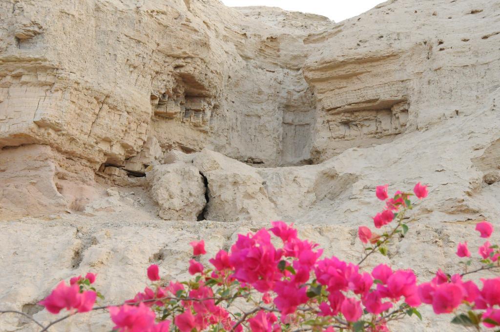 Dead Sea Dawn Neot HaKikar Exterior photo